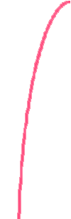 Project member's area